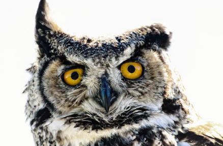 Eine Antwort auf Paris liegt in Athen Eine Antwort auf Paris liegt in Athen